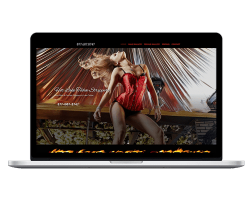 Bachelor & Bachelorette Party Entertainment Website Designs