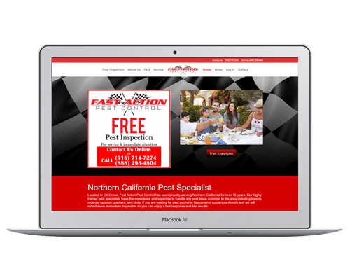 Pest Control Website Designs