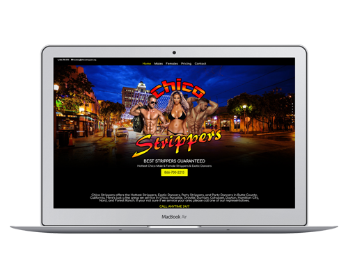 Bachelor & Bachelorette Party Entertainment Website Designs