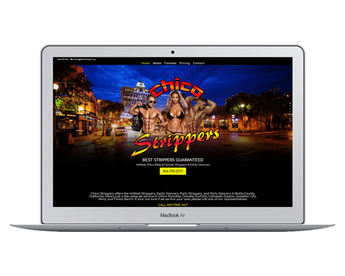 Bachelor & Bachelorette Party Entertainment Website Designs