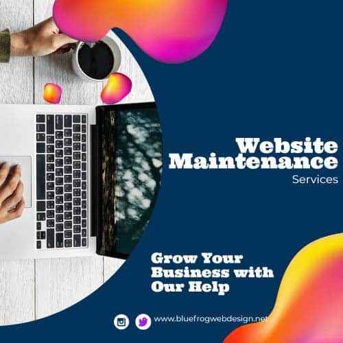 website maintenance services from blue frog web design & seo