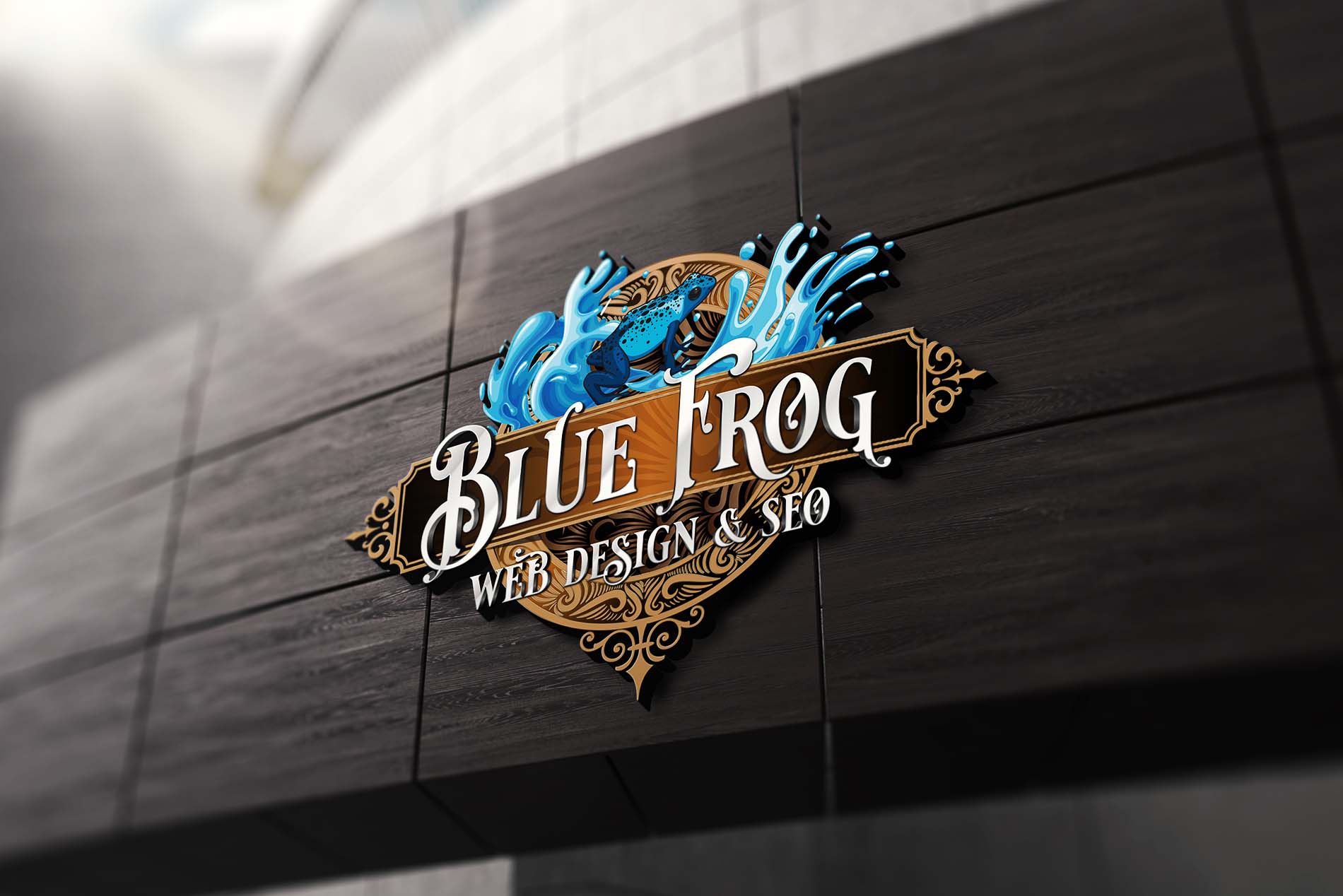 Top Web Design Company in Orangevale, CA. Blue Frog Web Design & SEO